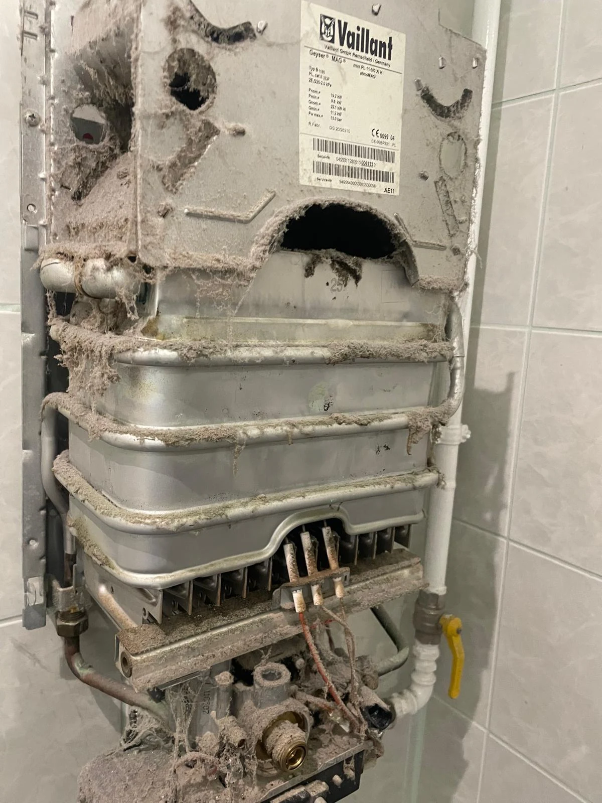 Podgrzewacz gazowy Vaillant z dziurą przeżartą w blaszanej obudowie, całe wnętrze pokryte grubą warstwą kurzu
