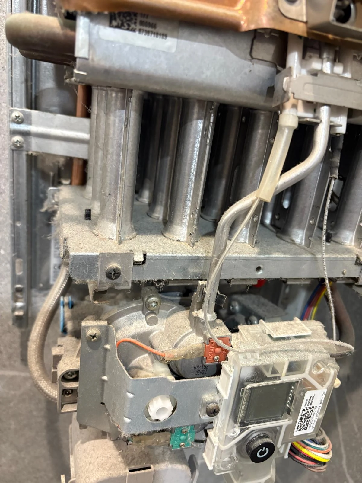 Zbliżenie na plastikowe złącze elektryczne w podgrzewaczu gazowym, całkowicie oblepione kłaczkami kurzu